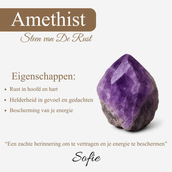 Nadine Amethist Ketting en Oorbellen