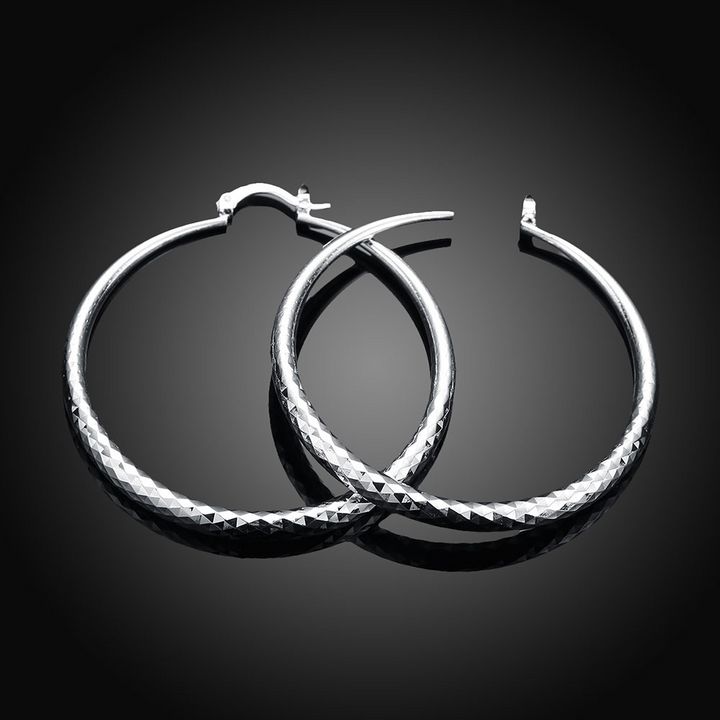 Oorbellen van sterling zilver